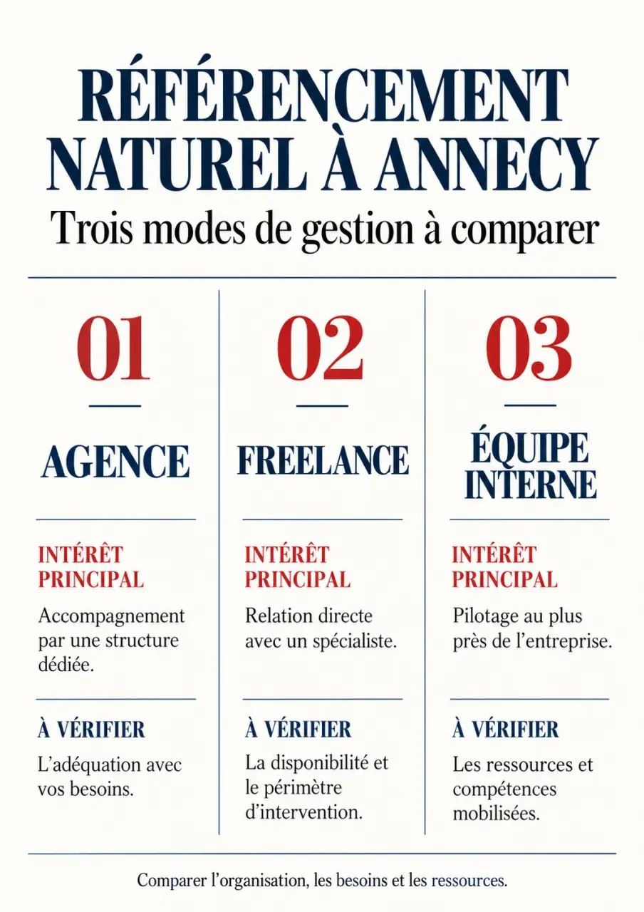 Infographie sur le référencement naturel Annecy : agence, freelance ou équipe interne